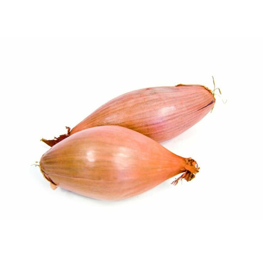 Salottahagyma