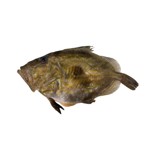 Bretagne-i kishajós Szent Péter hal 1/2kg