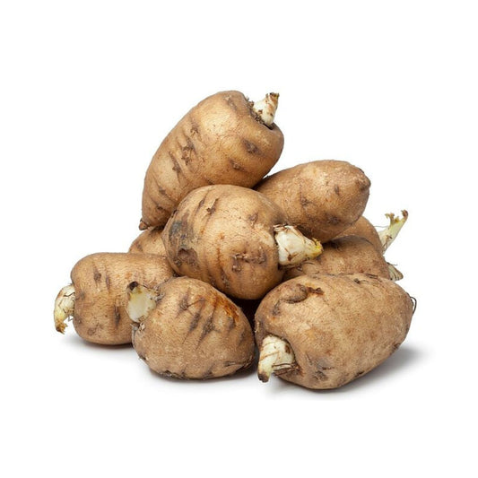 Turbolyagyökér